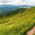 Hiker standing in a verdant hillside meadow on a mountain ridge, with a dirt path along the slope.