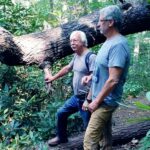 Two A.T. volunteers stand next to a fallen tree.
