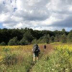 Backpackers traverse a blooming meadowland section of Appalachian Trail in Pennsylvania.