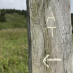 "AT" with an arrow pointing to the left carved on a wooden trail sign