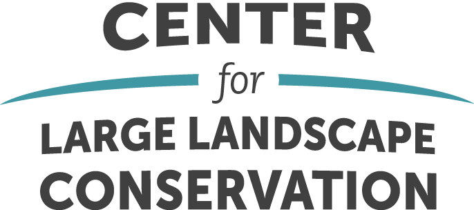 Logo for Center for Large Landscape Conservation with bold gray text and teal curved lines.