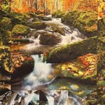 Autumn forest scene with a rocky stream winding through golden leaves, framed by a geometric mosaic border.