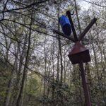 Abandoned, rusted metal post with cross-arms and a hanging rectangular box, topped by a blue bag, set in a dense forest background.