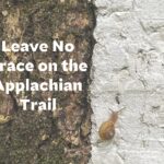 Leave No Trace on the Appalachian Trail with a snail on a white rock and the Appalachian Conservancy logo on the right.