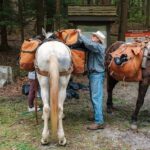 Man loads a pack saddle onto a mule at a trailhead.