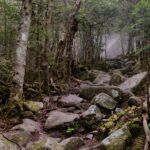 A white Appalachian Trail blaze marks the route through a forested section of trail made up of large boulders.